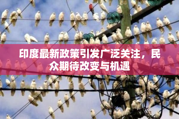 印度最新政策引发广泛关注，民众期待改变与机遇