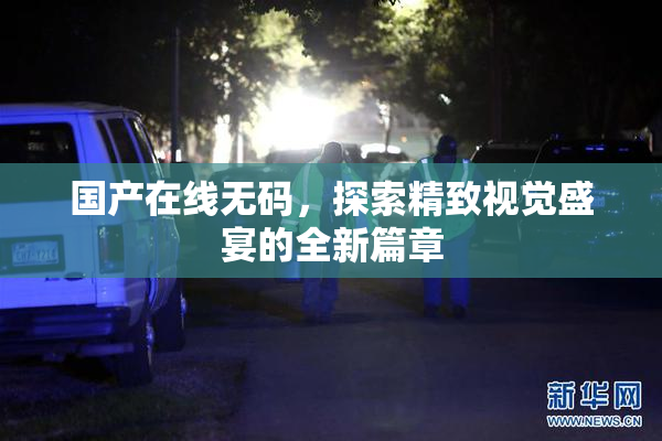 国产在线无码，探索精致视觉盛宴的全新篇章