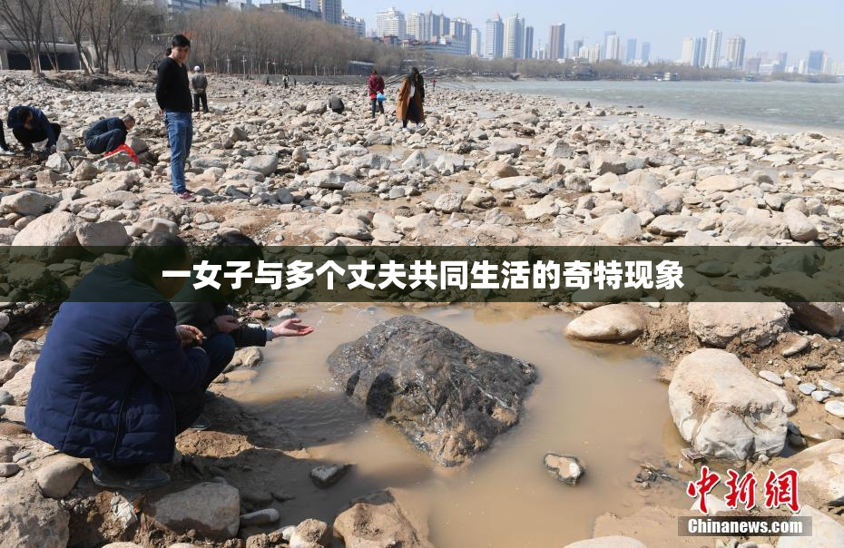 一女子与多个丈夫共同生活的奇特现象