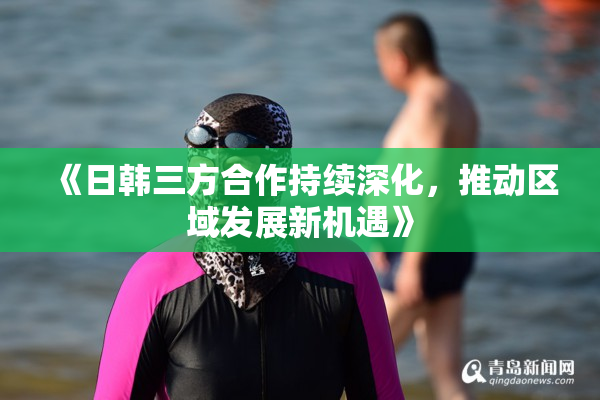 《日韩三方合作持续深化，推动区域发展新机遇》