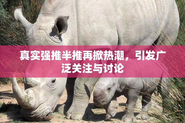 真实强推半推再掀热潮，引发广泛关注与讨论