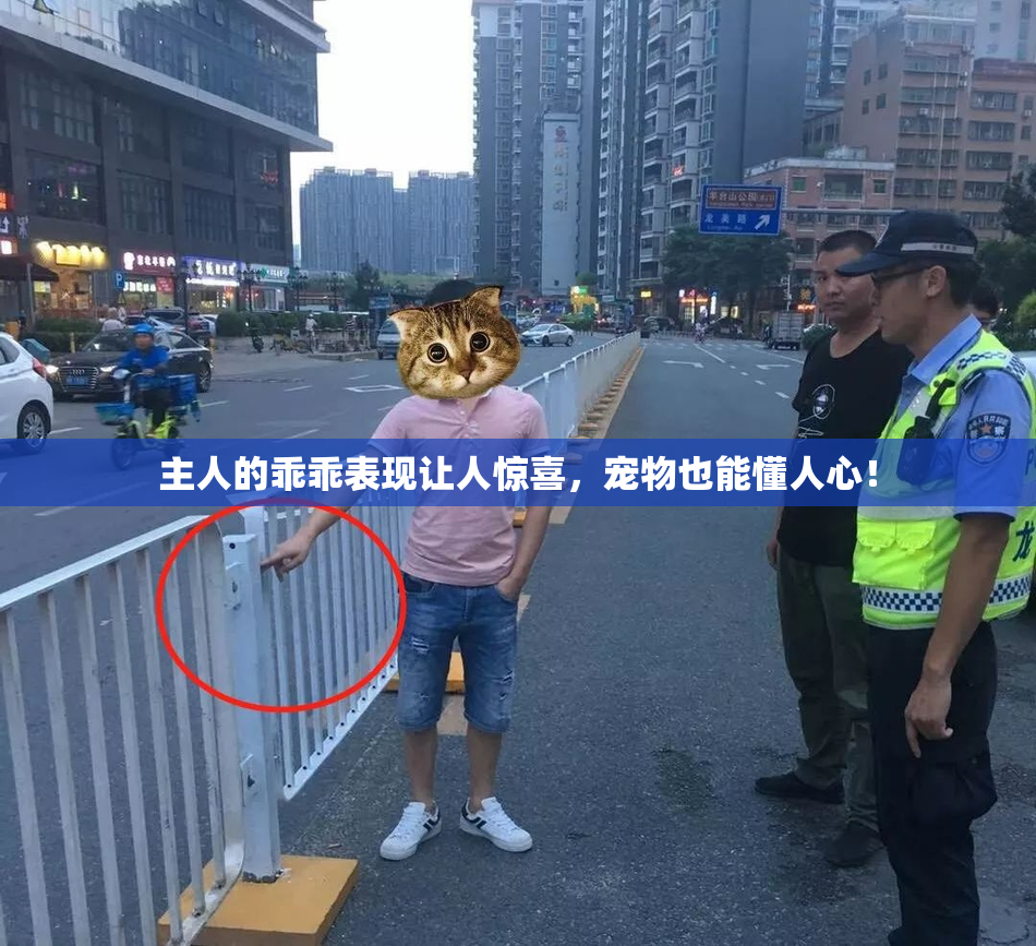 主人的乖乖表现让人惊喜，宠物也能懂人心！