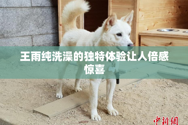 王雨纯洗澡的独特体验让人倍感惊喜