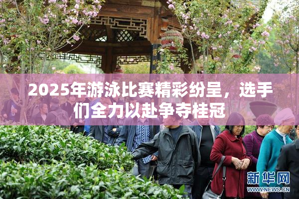 2025年游泳比赛精彩纷呈，选手们全力以赴争夺桂冠