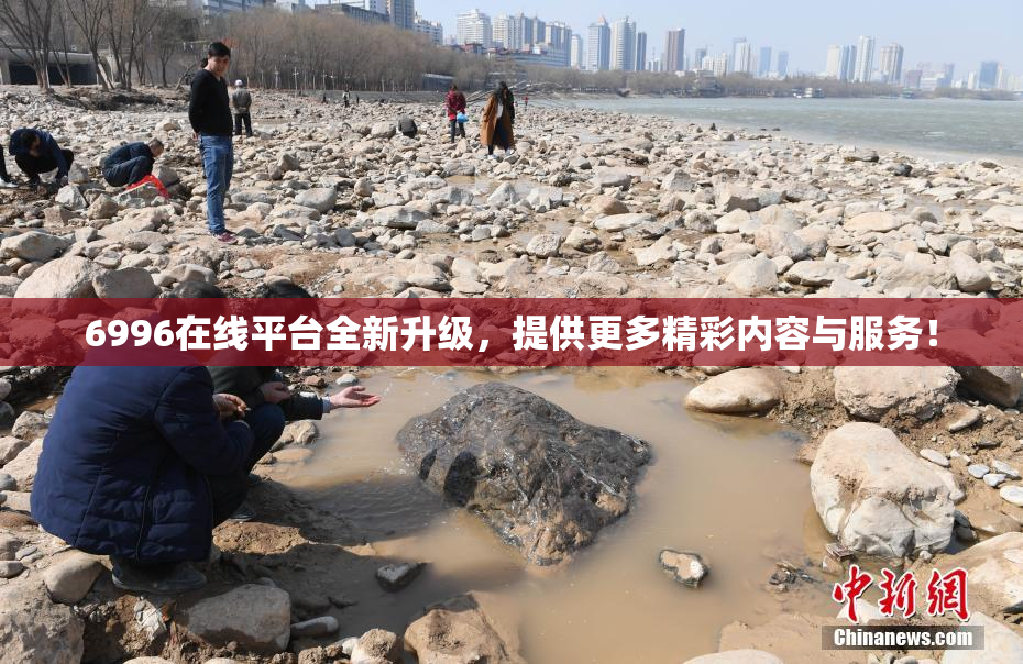 6996在线平台全新升级，提供更多精彩内容与服务！