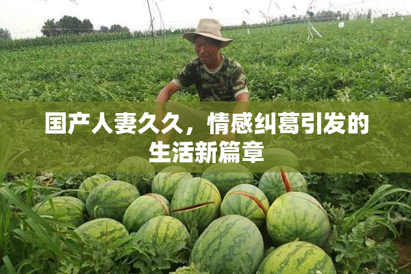 国产人妻久久，情感纠葛引发的生活新篇章