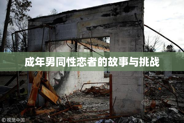 成年男同性恋者的故事与挑战