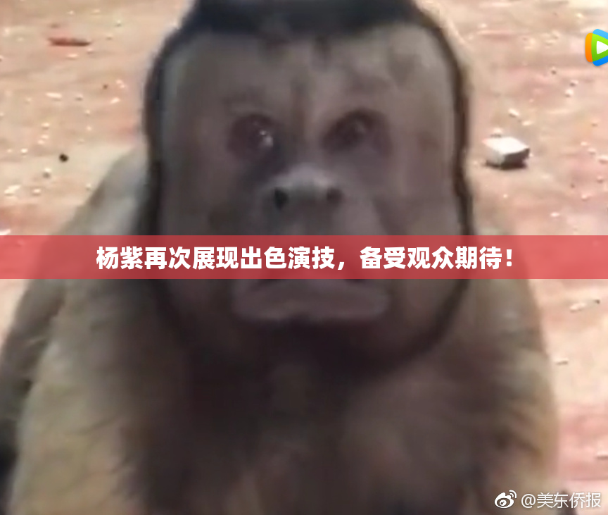 杨紫再次展现出色演技，备受观众期待！
