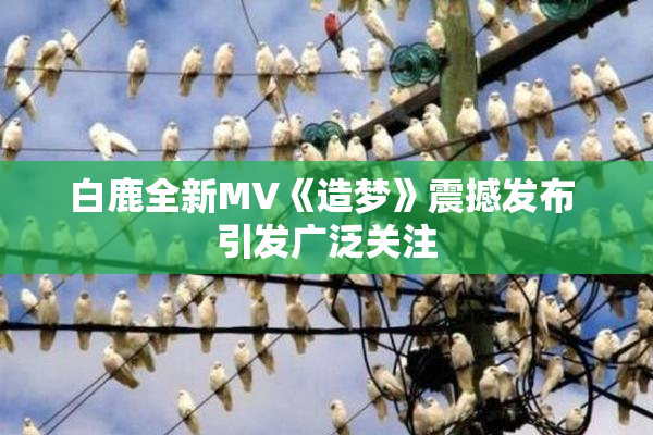 白鹿全新MV《造梦》震撼发布 引发广泛关注