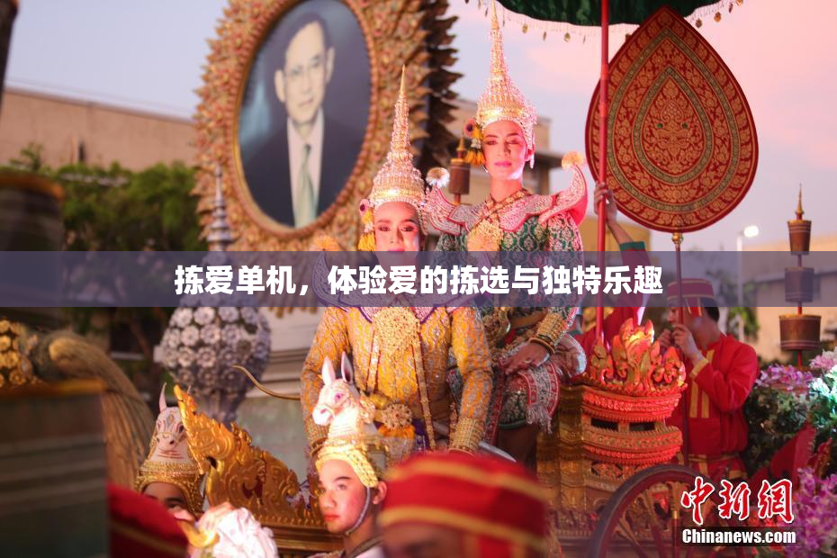 拣爱单机，体验爱的拣选与独特乐趣