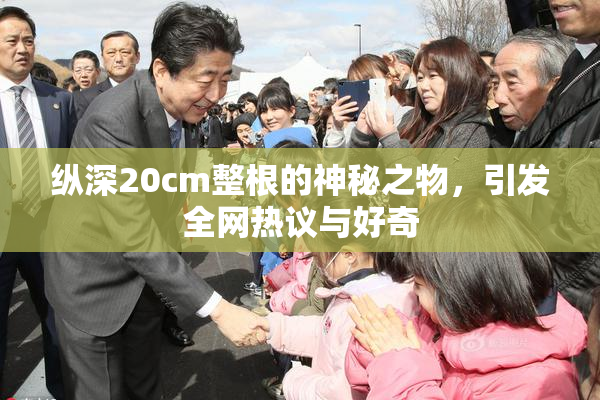 纵深20cm整根的神秘之物，引发全网热议与好奇