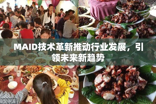 MAID技术革新推动行业发展，引领未来新趋势