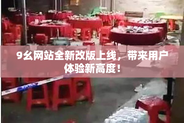 9幺网站全新改版上线，带来用户体验新高度！