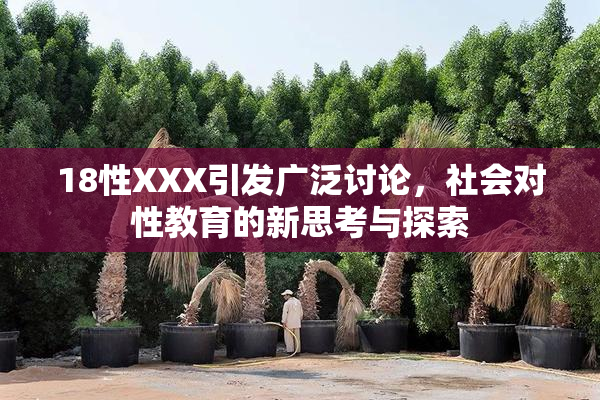 18性XXX引发广泛讨论，社会对性教育的新思考与探索