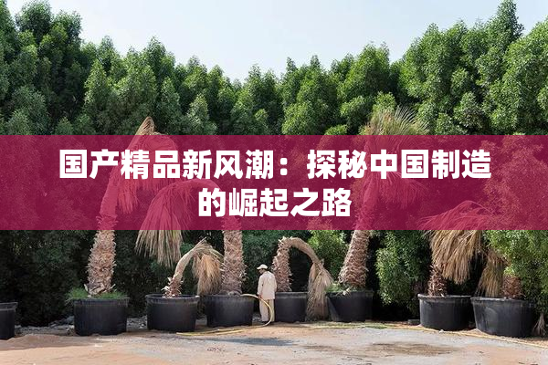 国产精品新风潮：探秘中国制造的崛起之路