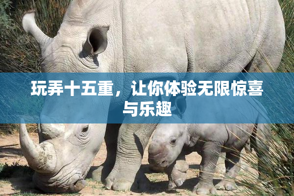 玩弄十五重，让你体验无限惊喜与乐趣