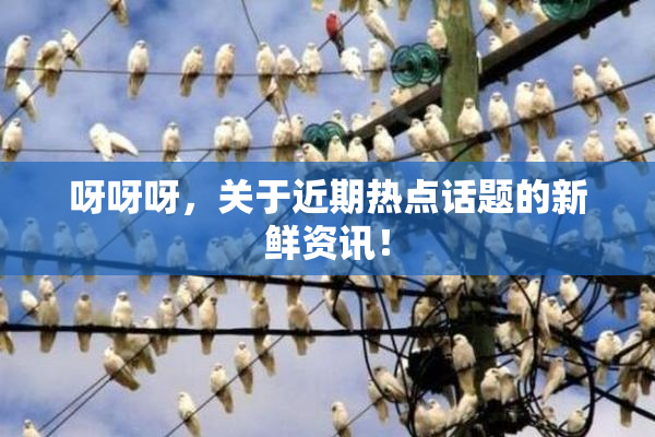 呀呀呀，关于近期热点话题的新鲜资讯！