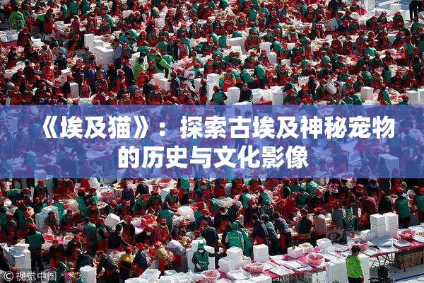 《埃及猫》：探索古埃及神秘宠物的历史与文化影像