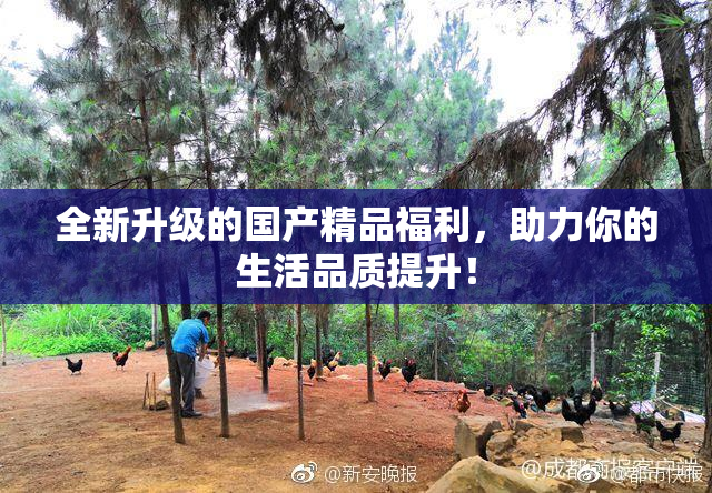 全新升级的国产精品福利，助力你的生活品质提升！