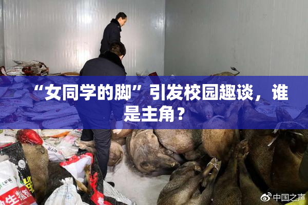 “女同学的脚”引发校园趣谈，谁是主角？