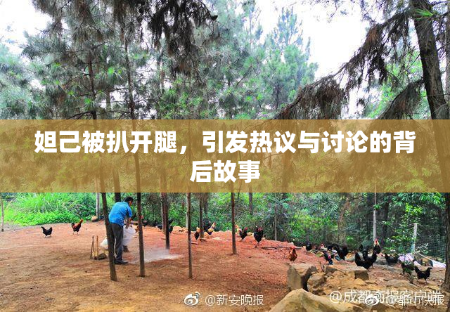 妲己被扒开腿，引发热议与讨论的背后故事