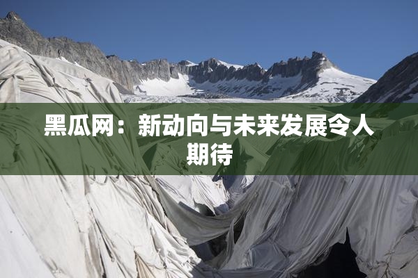 黑瓜网：新动向与未来发展令人期待
