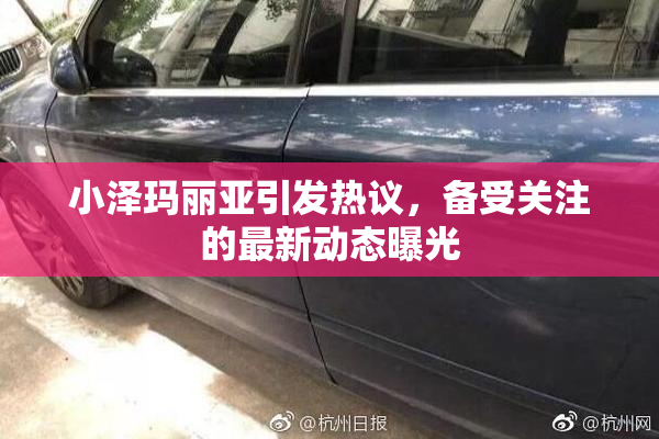 小泽玛丽亚引发热议，备受关注的最新动态曝光