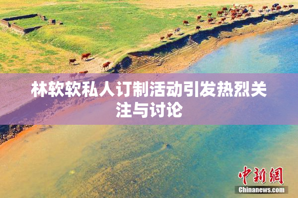 林软软私人订制活动引发热烈关注与讨论