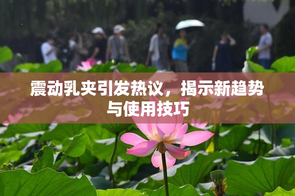 震动乳夹引发热议，揭示新趋势与使用技巧