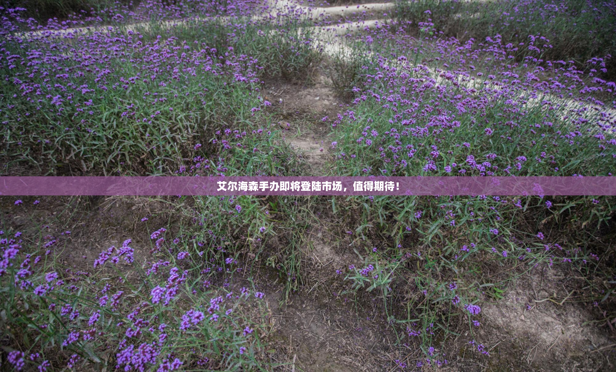艾尔海森手办即将登陆市场，值得期待！