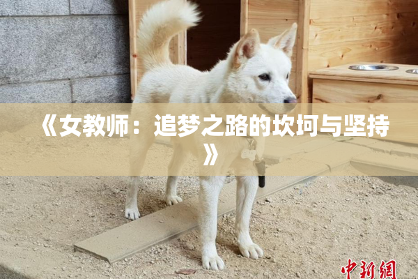 《女教师：追梦之路的坎坷与坚持》