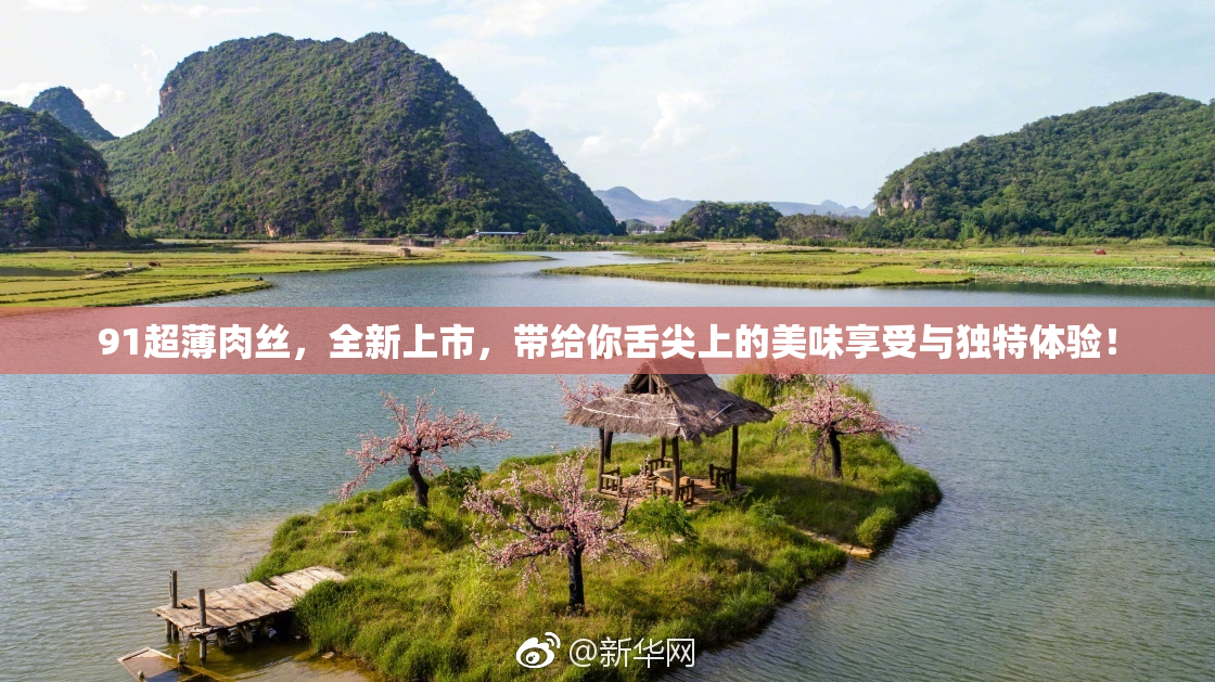 91超薄肉丝，全新上市，带给你舌尖上的美味享受与独特体验！