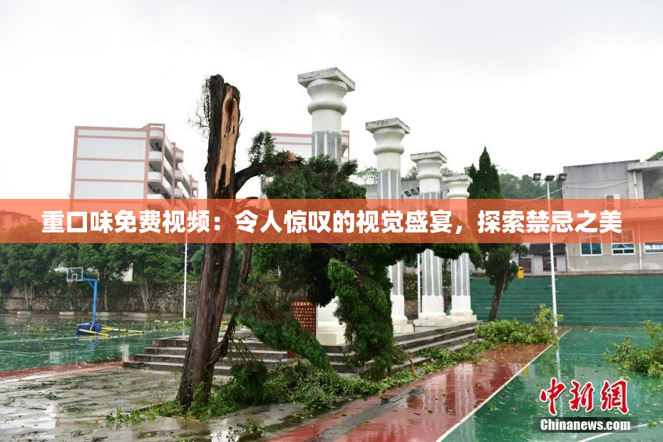 重口味免费视频：令人惊叹的视觉盛宴，探索禁忌之美