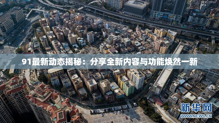 91最新动态揭秘：分享全新内容与功能焕然一新