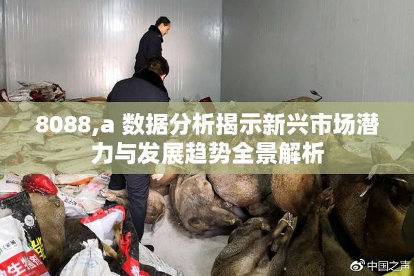 8088,a 数据分析揭示新兴市场潜力与发展趋势全景解析