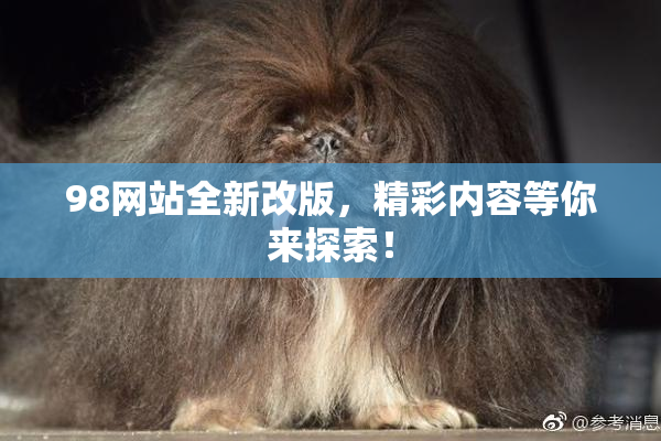 98网站全新改版，精彩内容等你来探索！
