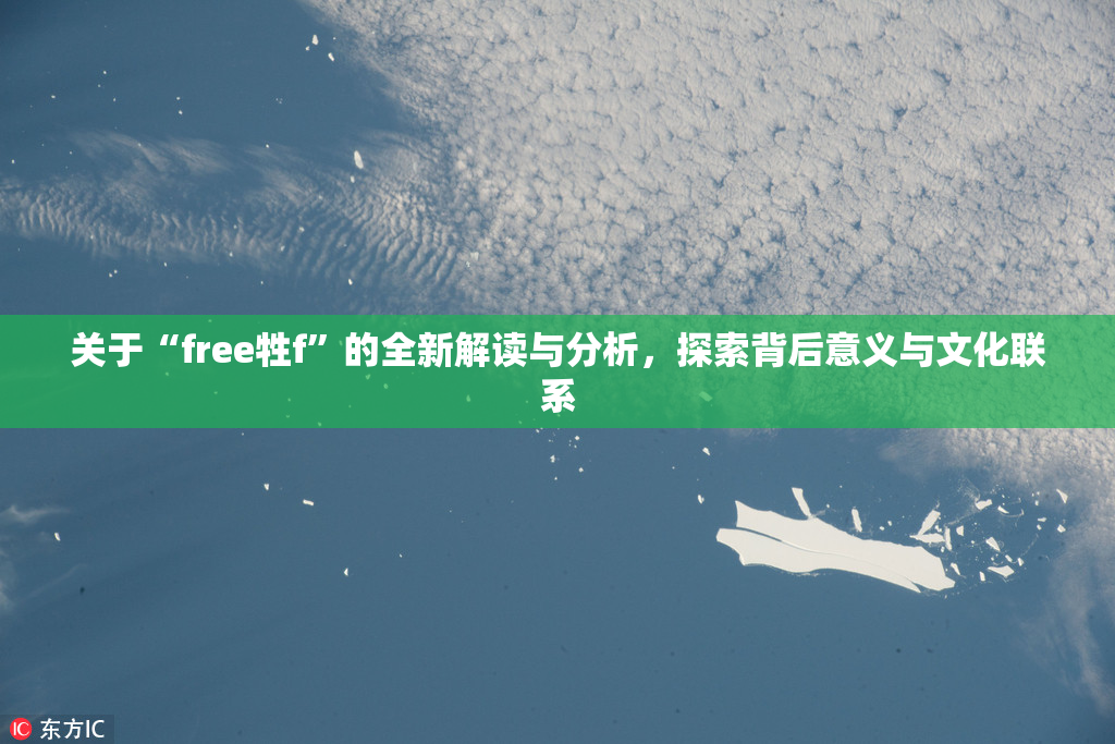 关于“free牲f”的全新解读与分析，探索背后意义与文化联系