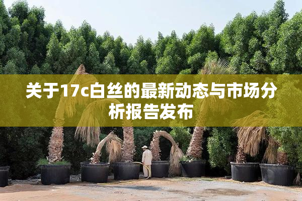 关于17c白丝的最新动态与市场分析报告发布