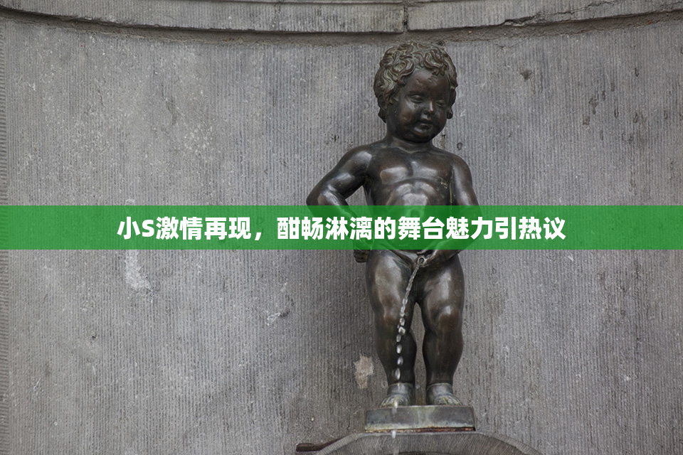 小S激情再现，酣畅淋漓的舞台魅力引热议