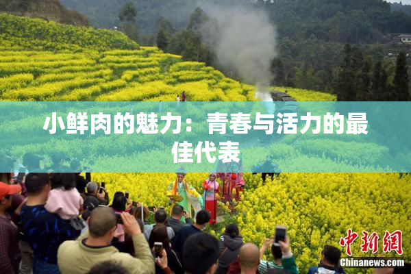 小鲜肉的魅力：青春与活力的最佳代表