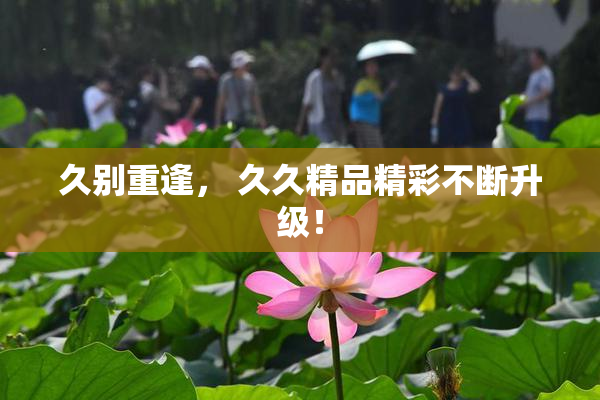 久别重逢， 久久精品精彩不断升级！