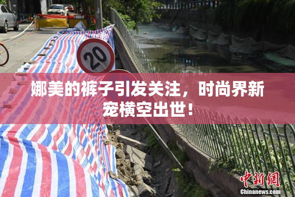 娜美的裤子引发关注，时尚界新宠横空出世！