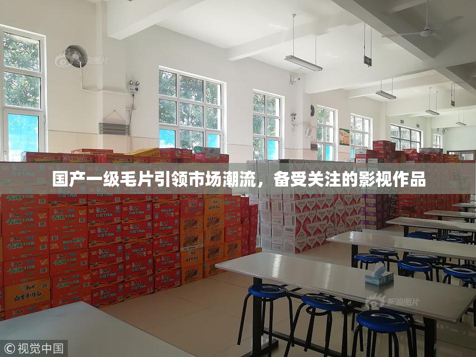 国产一级毛片引领市场潮流，备受关注的影视作品