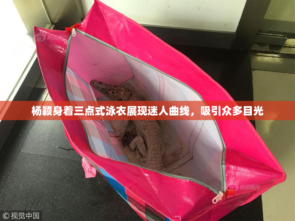 杨颖身着三点式泳衣展现迷人曲线，吸引众多目光
