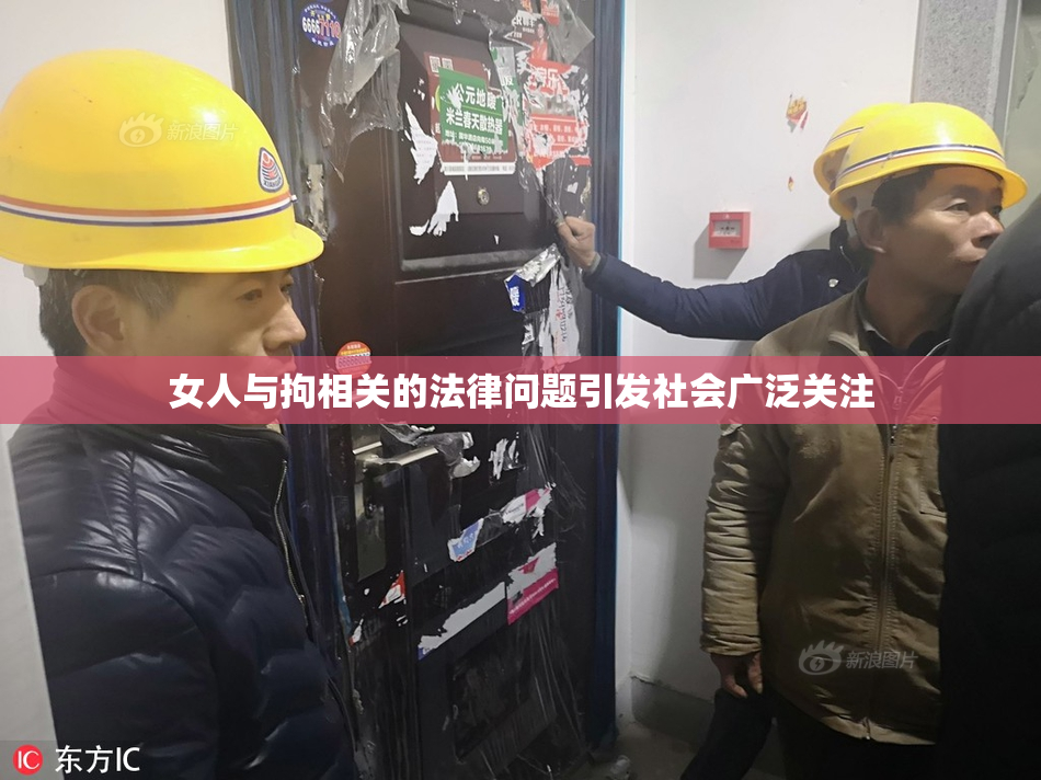 女人与拘相关的法律问题引发社会广泛关注