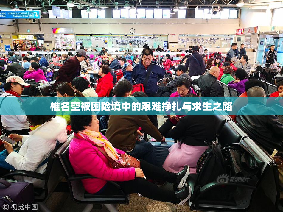 椎名空被困险境中的艰难挣扎与求生之路