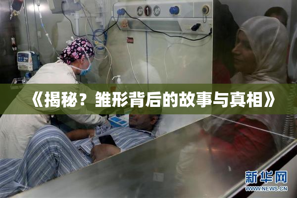 《揭秘？雏形背后的故事与真相》