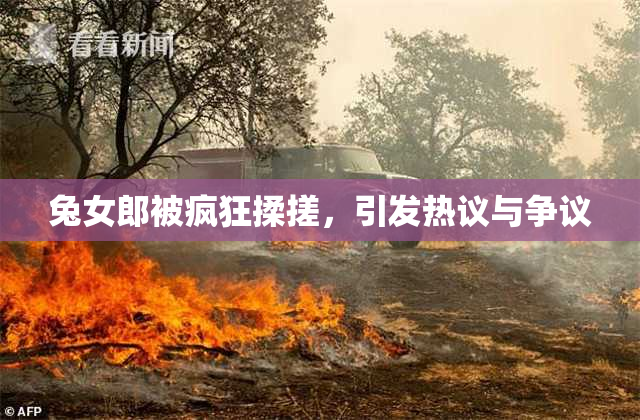 兔女郎被疯狂揉搓，引发热议与争议