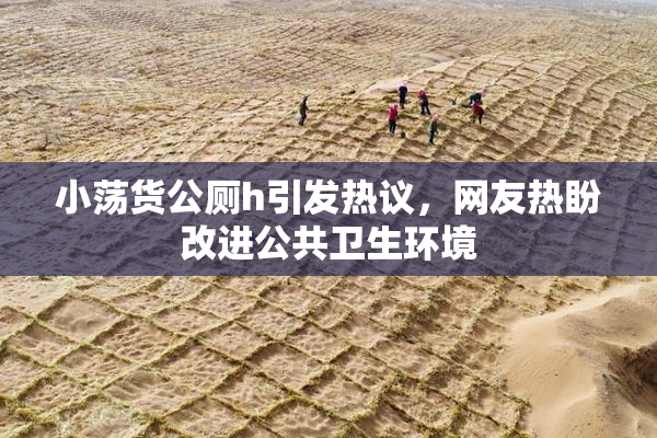 小荡货公厕h引发热议，网友热盼改进公共卫生环境