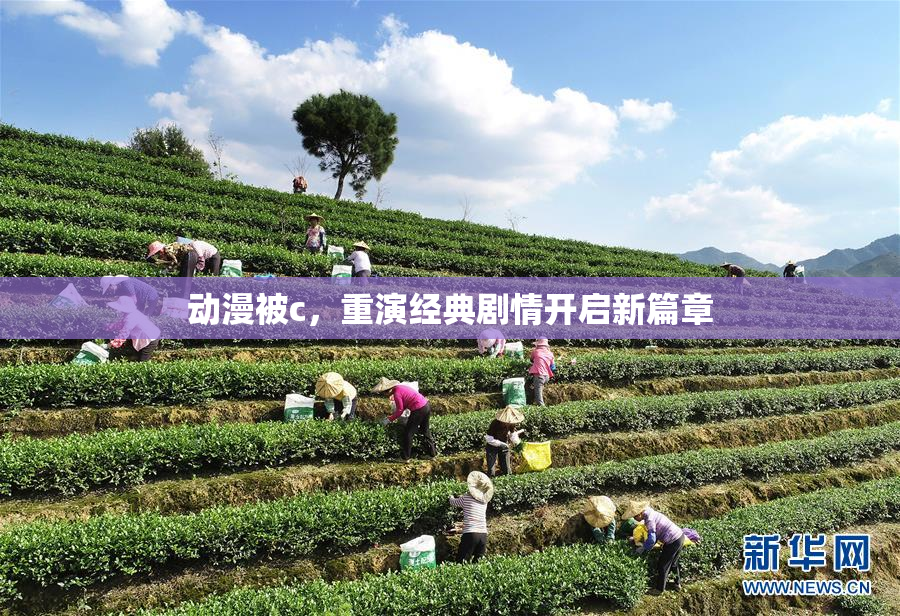 动漫被c，重演经典剧情开启新篇章